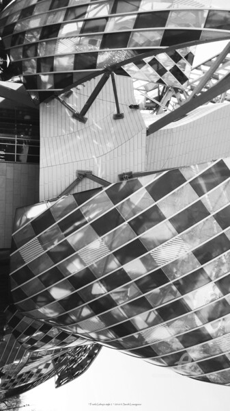 Photographie intitulée "Frank Gehry's style…" par Sarah Leseigneur, Œuvre d'art originale, Photographie numérique