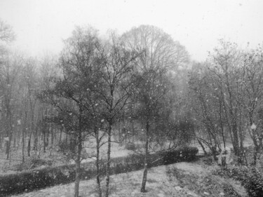 Photography titled "Snowing day" by Sarah Leseigneur, Original Artwork, Digital Photography