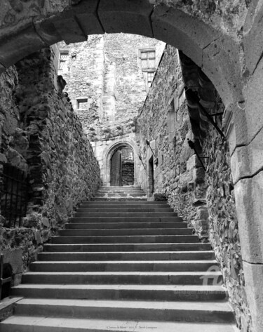 Photographie intitulée "Chateau de Murol" par Sarah Leseigneur, Œuvre d'art originale, Photographie numérique