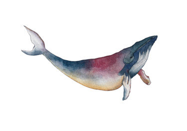 Peinture intitulée "Baleine" par Sarah Quarelle, Œuvre d'art originale, Aquarelle