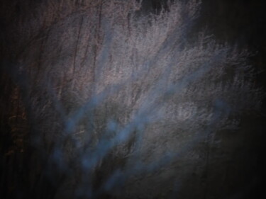 Photographie intitulée "Neige abstraite" par Sarai David, Œuvre d'art originale