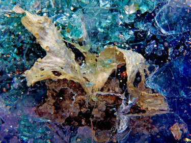 Fotografia intitulada "Marine nature" por Sara Raquel Sarangello, Obras de arte originais, Fotografia digital