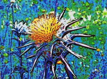 Fotografie mit dem Titel "Fleur nature" von Sara Raquel Sarangello, Original-Kunstwerk, Manipulierte Fotografie