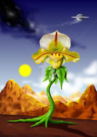 Digital Arts titled "Flower Power" by Sarawonder Artist, Original Artwork, Digital Painting