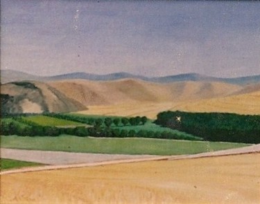 Pittura intitolato "la valle del Tacina" da Angelo Sara, Opera d'arte originale