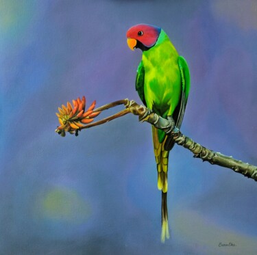Картина под названием "папугайчик" - Sarovska, Подлинное произведение искусства, Масло