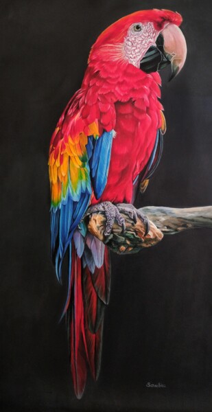 Malarstwo zatytułowany „Папуга Ара” autorstwa Sarovska, Oryginalna praca, Olej