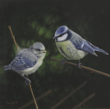 Les mésanges bleues Peinture intitulée "Les mésanges bleues" par Sarrafi, Œuvre d'art originale, Huile