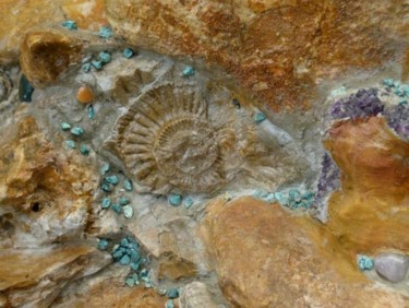 Photography titled "Ammonit" by Sascheen, Original Artwork