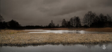 Photographie intitulée "ПРЕДЗИМЬЕ" par Alexander Zavialov, Œuvre d'art originale, Photographie numérique