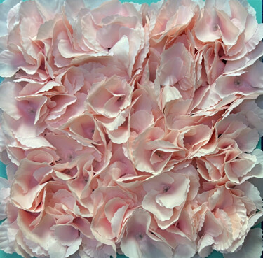 Pittura intitolato "Powder pink roses" da Sasha Robinson, Opera d'arte originale, Collages