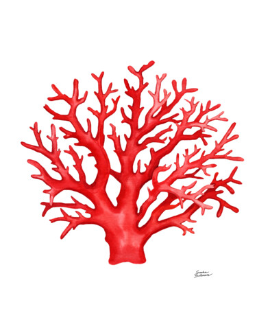 Painting titled "Red Coral" by Sasha Solomon, Original Artwork, Watercolor