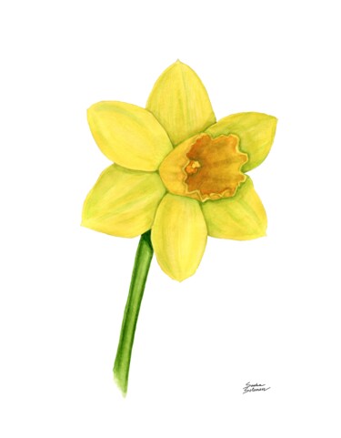 Painting titled "Daffodil" by Sasha Solomon, Original Artwork, Watercolor