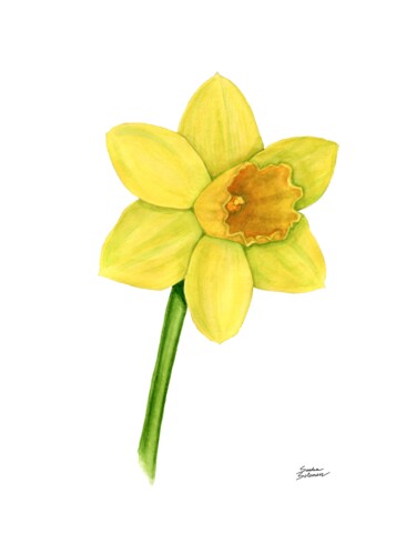 Malerei mit dem Titel "Daffodil" von Sasha Solomon, Original-Kunstwerk, Aquarell