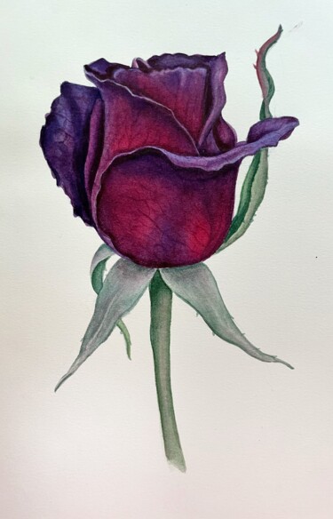 Peinture intitulée "Dark rose" par Sasha Solomon, Œuvre d'art originale, Aquarelle