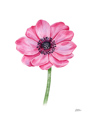 Картина под названием "Pink Anemone flower" - Sasha Solomon, Подлинное произведение искусства, Акварель