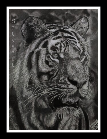 Σχέδιο με τίτλο "Hyperrealistic tige…" από Satyajeet Kumar, Αυθεντικά έργα τέχνης, Μολύβι