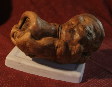 Sculpture intitulée "loupe jonque chinoi…" par Edouard Sauret, Œuvre d'art originale, Bois