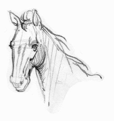 Peinture intitulée "cheval-2.jpg" par Saycyl, Œuvre d'art originale
