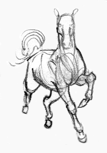 Dessin intitulée "cheval-5.jpg" par Saycyl, Œuvre d'art originale