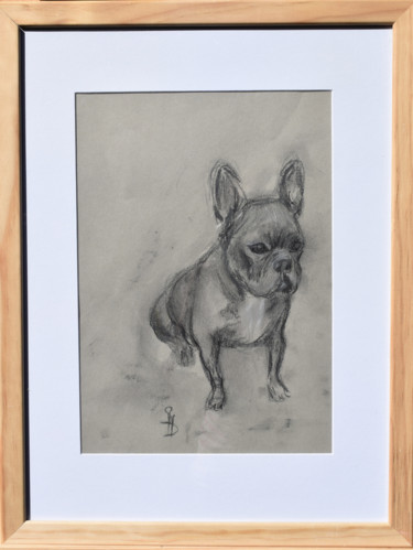 Zeichnungen mit dem Titel "Bouledogue" von Sbboursot, Original-Kunstwerk, Kohle