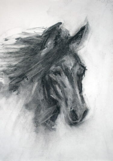 Zeichnungen mit dem Titel "Horse" von Sbboursot, Original-Kunstwerk, Kohle