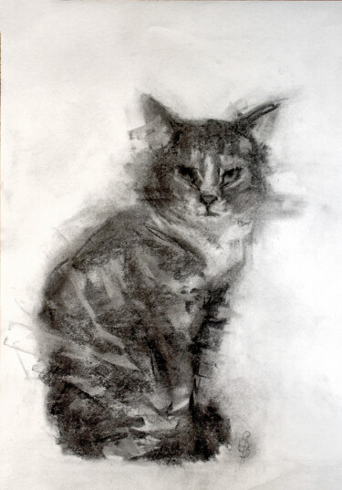 Dibujo titulada "Cat" por Sbboursot, Obra de arte original, Carbón