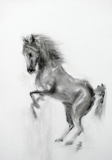 Zeichnungen mit dem Titel "Horse II" von Sbboursot, Original-Kunstwerk, Kohle