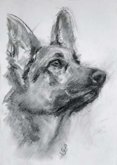 Desenho intitulada "German Shepherd Dog" por Sbboursot, Obras de arte originais, Carvão