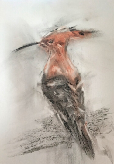 Desenho intitulada "Hoopoe I" por Sbboursot, Obras de arte originais, Carvão