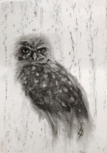 Σχέδιο με τίτλο "Burrowing Owl II" από Sbboursot, Αυθεντικά έργα τέχνης, Κάρβουνο