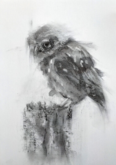 Tekening getiteld "Owl" door Sbboursot, Origineel Kunstwerk, Houtskool