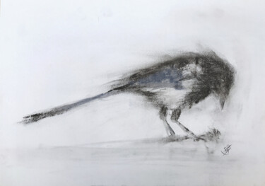 Рисунок под названием "Magpie (sketch)" - Sbboursot, Подлинное произведение искусства, Древесный уголь