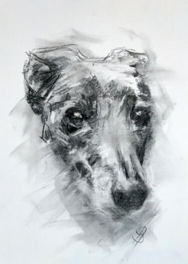 Dibujo titulada "Hey (Dog's Head)" por Sbboursot, Obra de arte original, Carbón