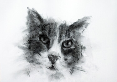 Drawing titled "Yes?" by Sbboursot, Original Artwork, Charcoal