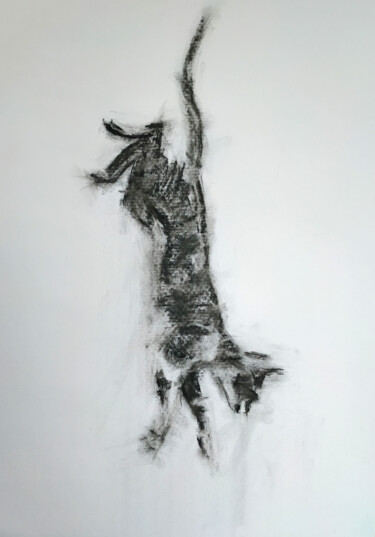 Dessin intitulée "Leaping Cat" par Sbboursot, Œuvre d'art originale, Fusain