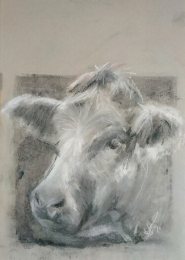 Drawing titled "Hello From The Field" by Sbboursot, Original Artwork, Charcoal