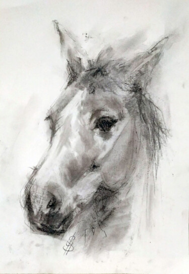 Рисунок под названием "Horse III" - Sbboursot, Подлинное произведение искусства, Древесный уголь