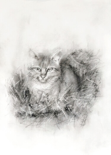 Zeichnungen mit dem Titel "Stray Cat in Straw" von Sbboursot, Original-Kunstwerk, Kohle