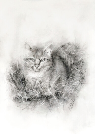 Dibujo titulada "Stray Cat in Straw" por Sbboursot, Obra de arte original, Carbón