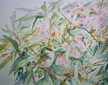 Painting titled "Singing Honeyeater…" by Scally Art, Original Artwork, Watercolor