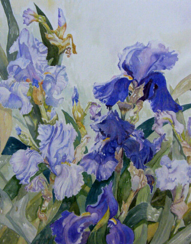 Painting titled "Blue Iris" by Scally Art, Original Artwork, Oil