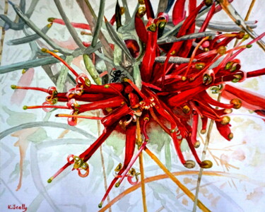 Painting titled "Grevillea Huegelii…" by Scally Art, Original Artwork, Watercolor