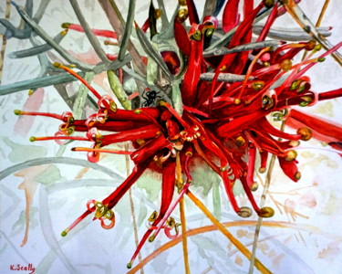 Grevillea Huegelii at Bullock Hills 10x11 in © by Scally Art