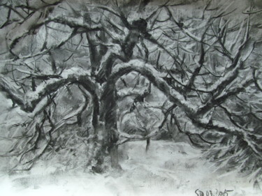 Drawing titled "Noyer eneigé" by Sieu-Dinh Ly, Original Artwork, Charcoal