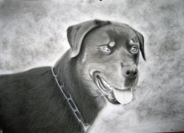 Drawing titled "Iron" by Schascia, Original Artwork, Pencil