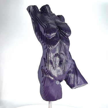 Sculpture intitulée "Torso - Female in V…" par Scott Camazine, Œuvre d'art originale, Bois