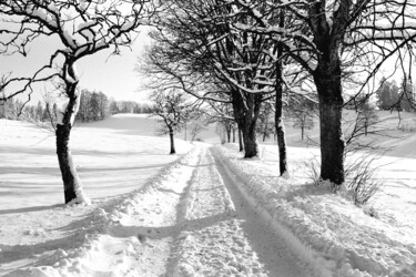 Fotografie mit dem Titel "Track and snow cove…" von Scott Gregory Banner, Original-Kunstwerk, Analog Fotografie