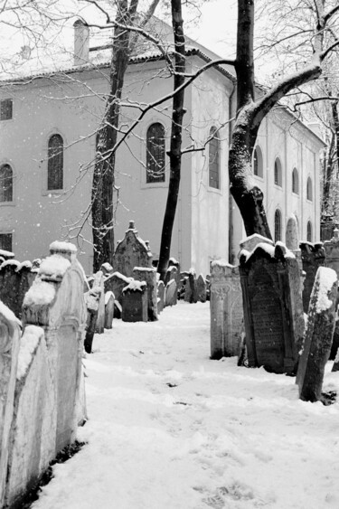 Fotografie getiteld "Old Jewish Cemetery…" door Scott Gregory Banner, Origineel Kunstwerk, Film fotografie