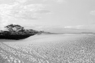 Photography titled "Beach and trees - C…" by Scott Gregory Banner, Original Artwork, Analog photography